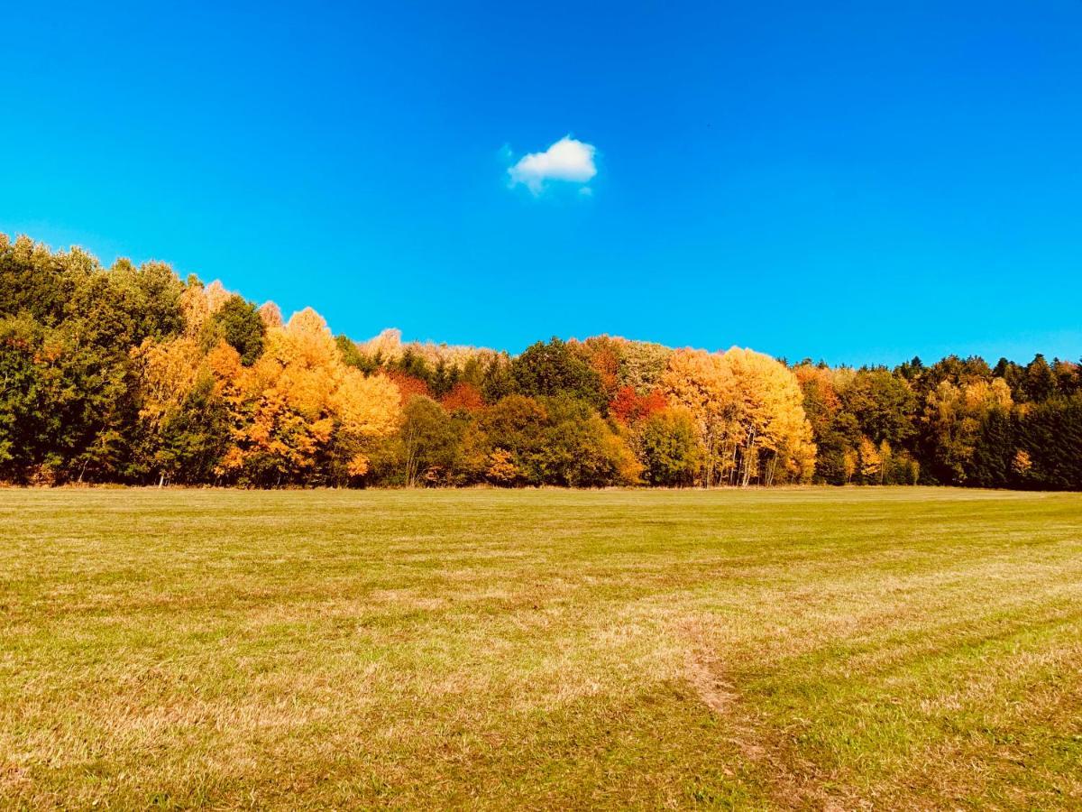 Bayerischer Wald - Balbersdorf Waffenbrunn Exteriör bild